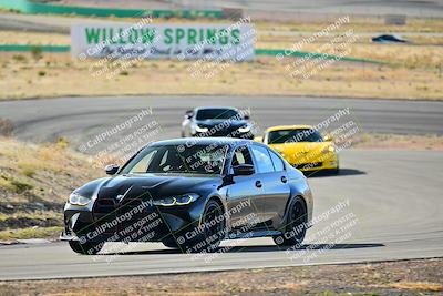 media/Mar-22-2025-West Coast Racing (Sat) [[0d49b412c8]]/Blue Group/Session 1 (Turn 4-Exterior)/